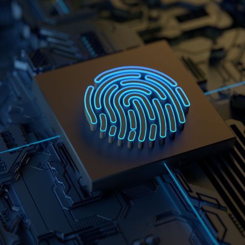 Ciberseguridad avanzada